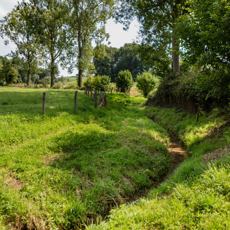 Een klein beekje stroomt door een groen vlak landschap
