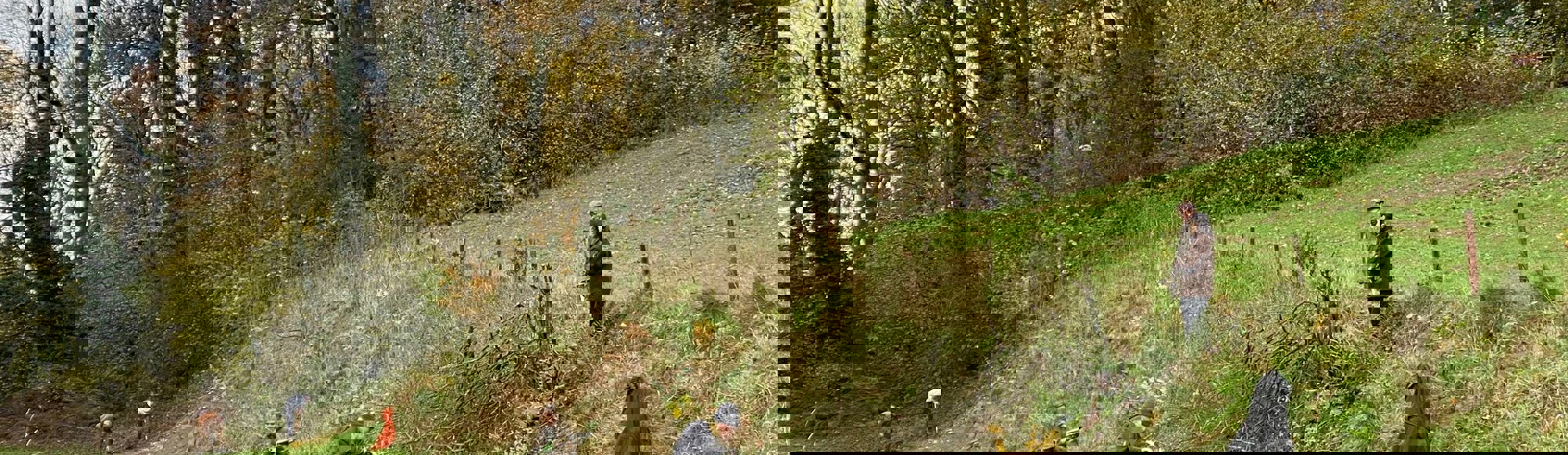 Mensen doen onderhoud aan een groene helling in een natuurgebied met op de achtergrond een bosje